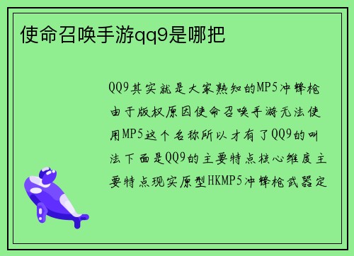 使命召唤手游qq9是哪把